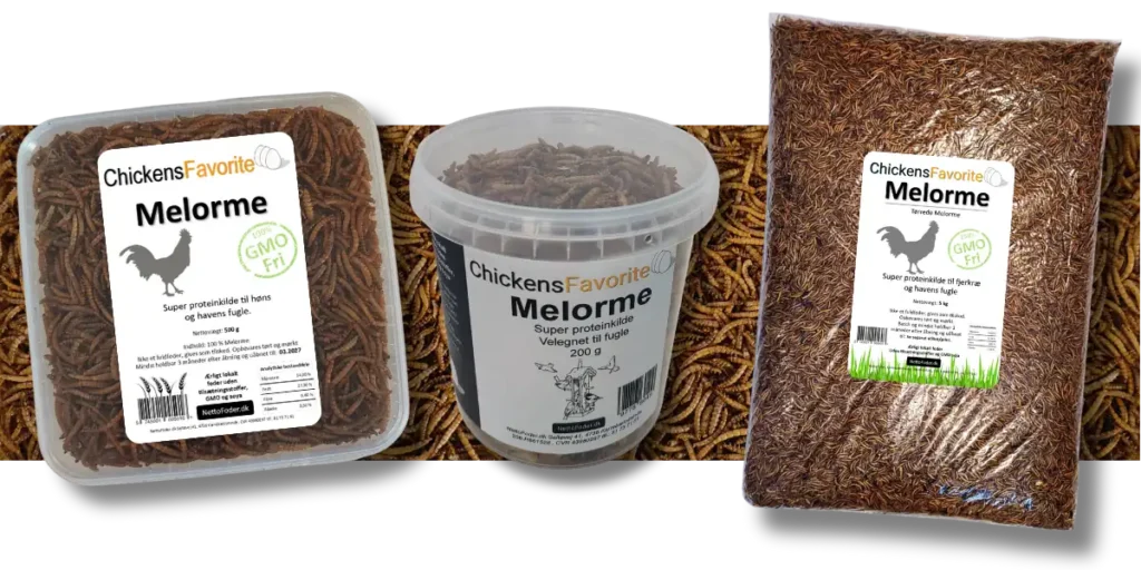 ChickensFavorit Melorme